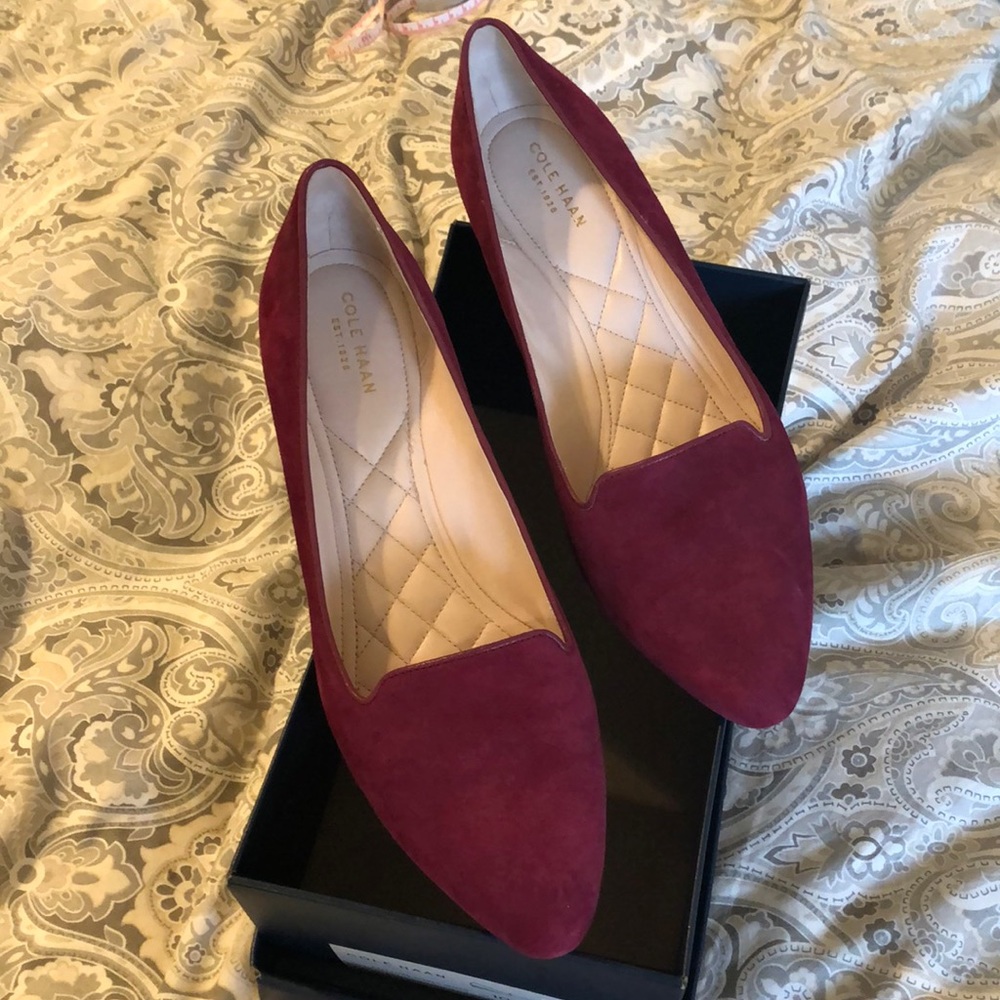 Cole Hahn suede shoes